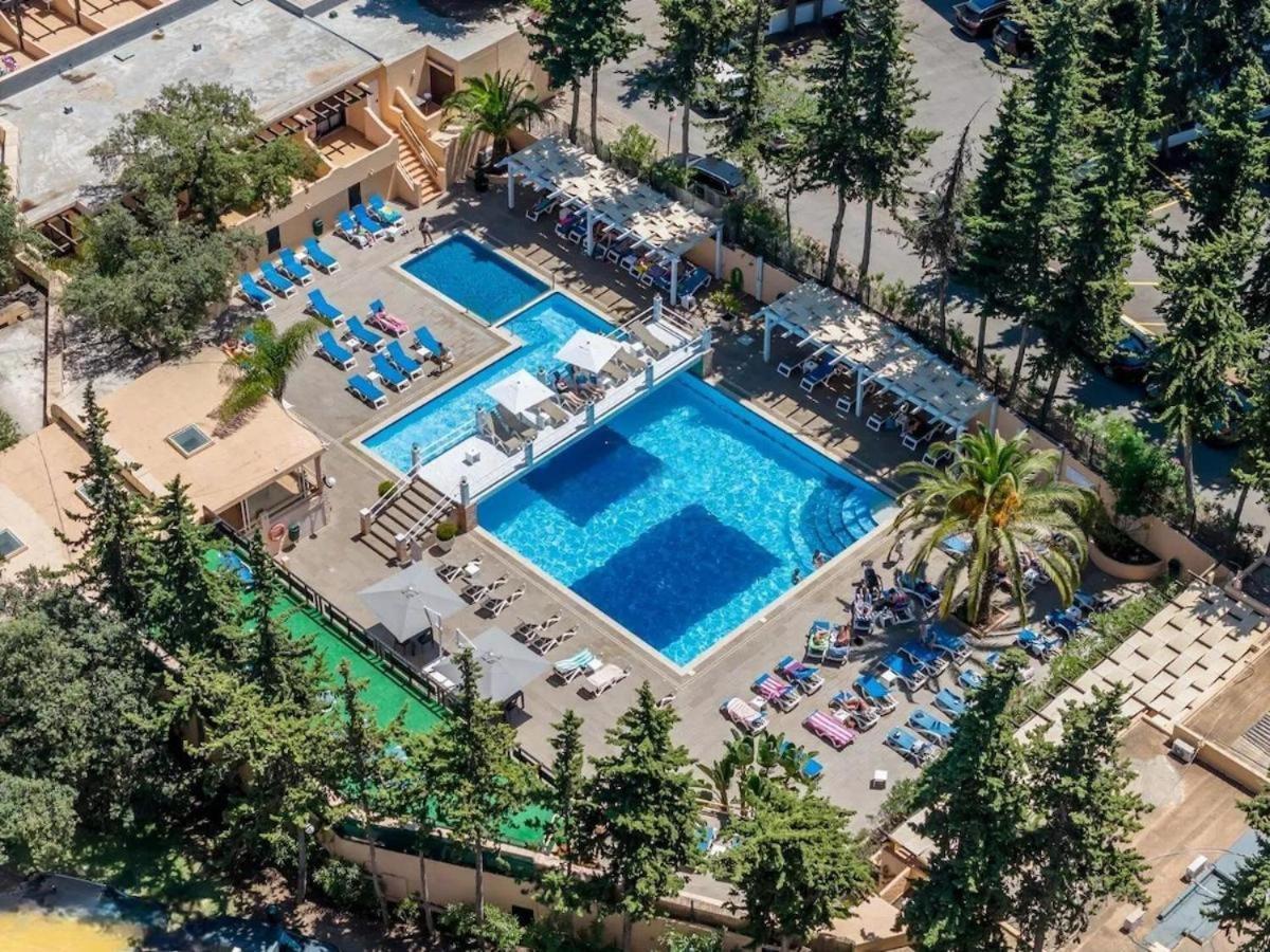 Laurus Apartment
